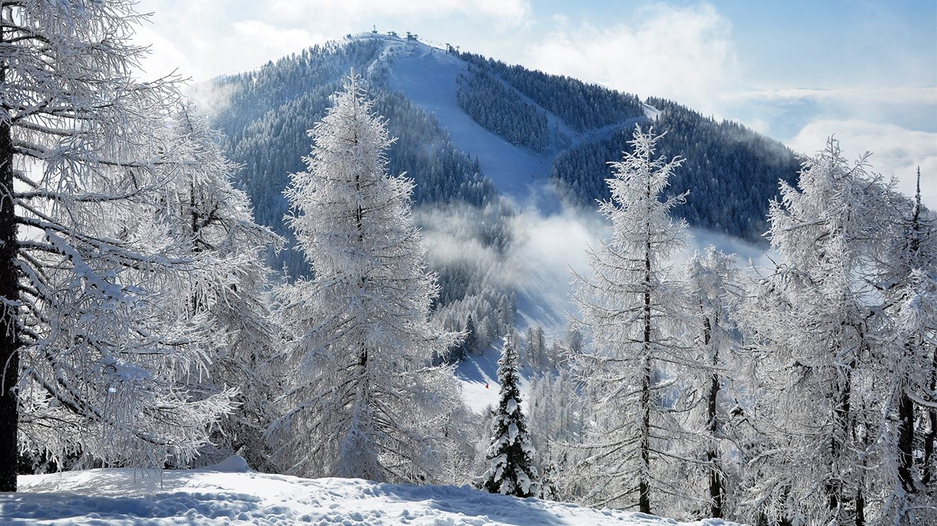 Hinter den tief verschneiten Bäumen versteckt sich die Radentheiner Streif