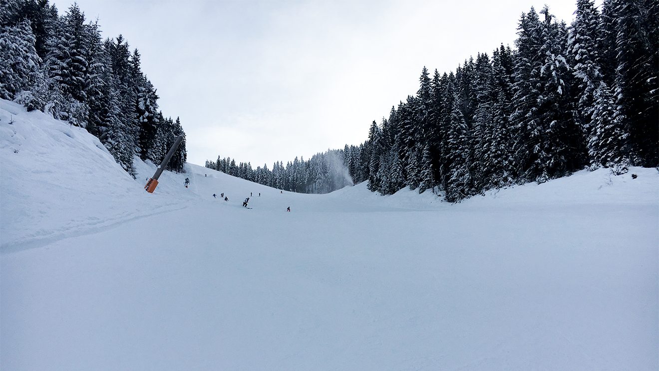 Schattig und steil - so präsentiert sich der Panorama-Steilhang © Skiing Penguin