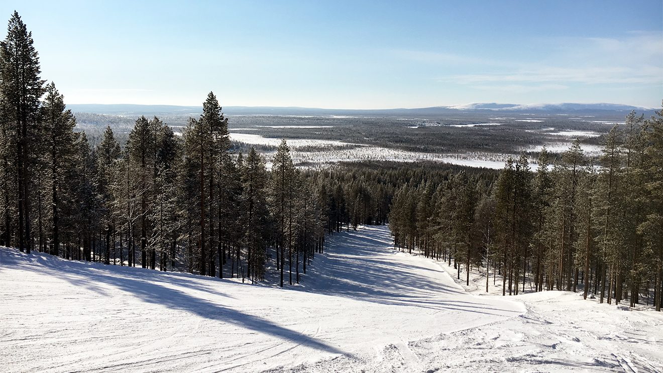 Idyllische Waldabfahrten der Sonne entgegen verlaufen auf der Südseite Levis © Skiing Penguin