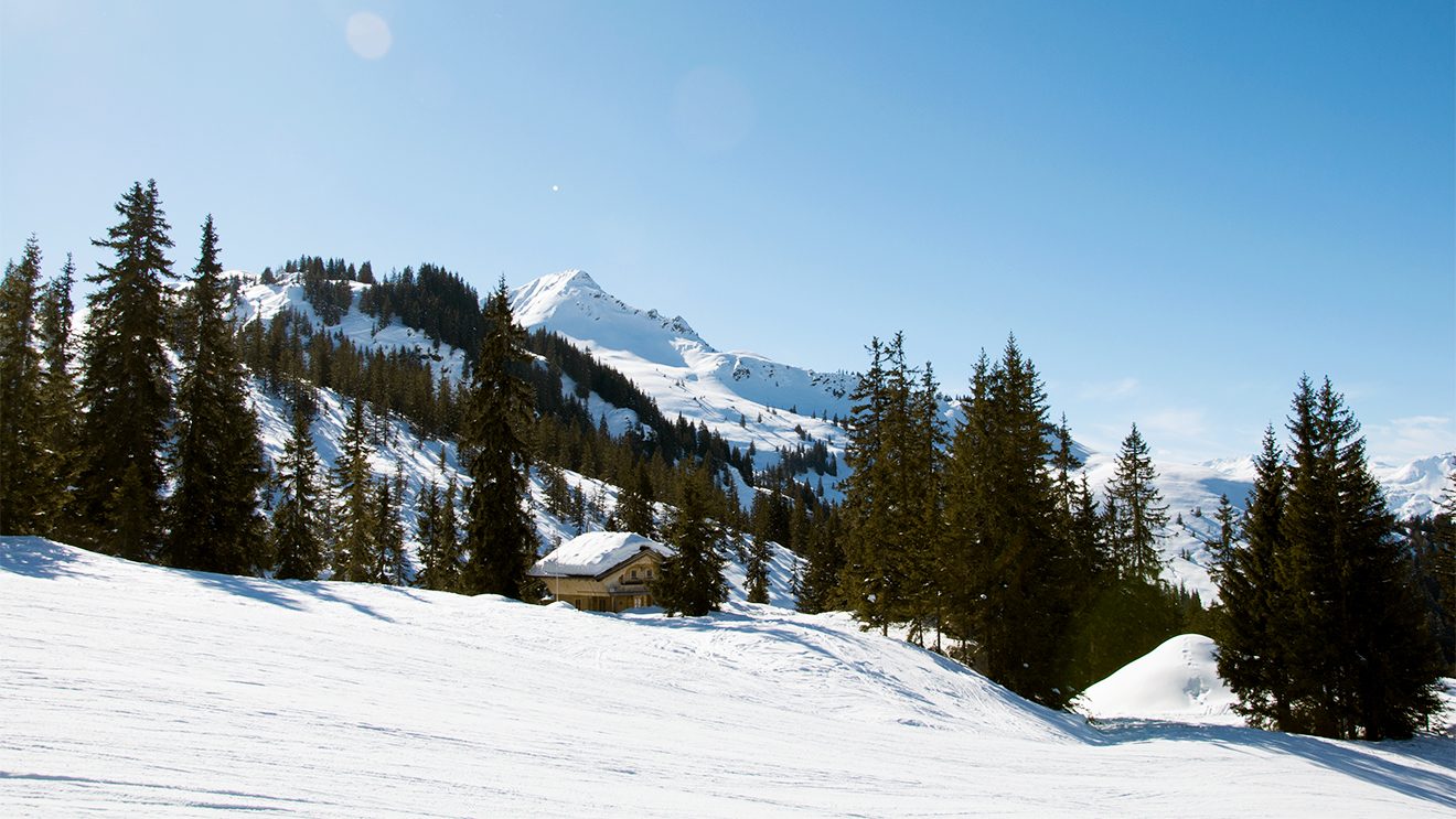 Kleine Hütten zeigen sich in Westendorf immer wieder am Pistenrand © Skiing Penguin