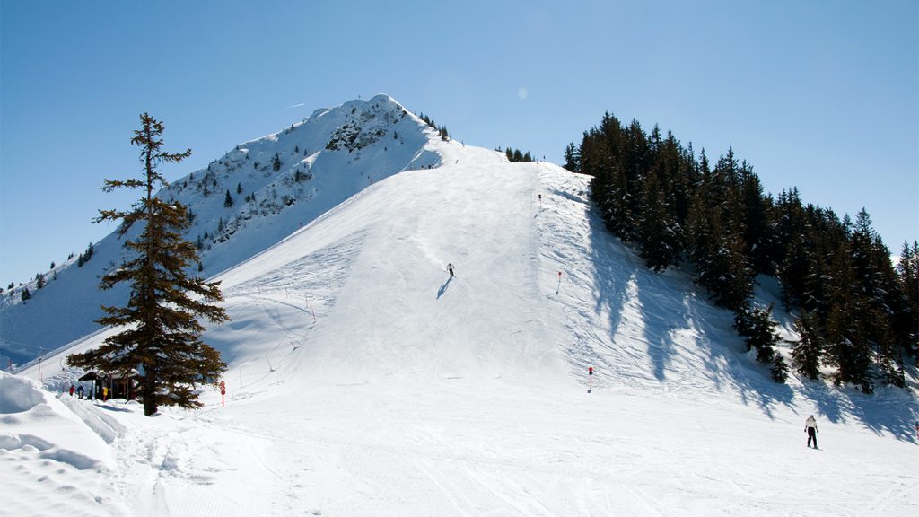 Über die Höhningerabfahrt zum Talkaser © Skiing Penguin