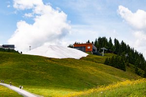 Snowfarming am Hahnenkamm in Kitzbühel © Skiing Penguin