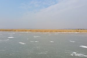 Winteridylle am Neusiedler See @ Richter