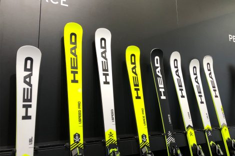 Head © Skiing Penguin