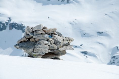 Kleine Stoanamandl sind überall in der Gletscherwelt zu sehen © Skiing Penguin