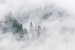 Die Nebel nach der Corona-Krise werden sich lichten © Skiing Penguin