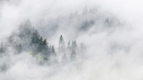 Die Nebel nach der Corona-Krise werden sich lichten © Skiing Penguin