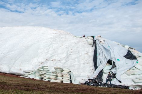 Nun wird der Altschnee zwei Wochen früher „ausgepackt“, als geplant © Skiing Penguin